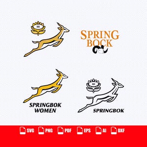 May include: A collection of digital graphic logos featuring a leaping springbok antelope in gold and black outlines, accompanied by a stylized flower icon, the text SPRING BOCK, SPRINGBOK WOMEN, and SPRINGBOK, with file format icons SVG, PNG, PDF, EPS, AI, and DXF.