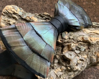 bow tie turkey feather