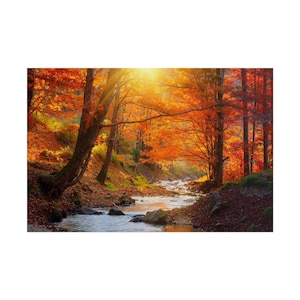 Autumn Forest Stream Landscape Rolled Poster