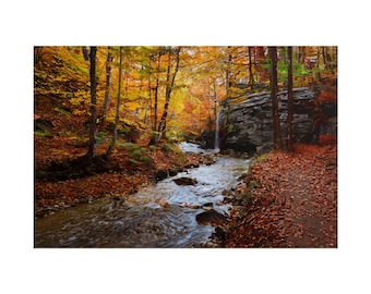 May include: A flowing stream winds through a dense forest during autumn, surrounded by vibrant orange, yellow, and brown fallen leaves. A small waterfall cascades down a dark, layered rock formation on the right, while tall trees frame the scene.
