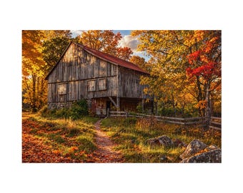 May include: A weathered wooden barn with a rusted metal roof stands in a field during autumn. The structure features stone foundation walls, closed wooden shutters, and is surrounded by trees with vibrant orange, yellow, and red foliage.