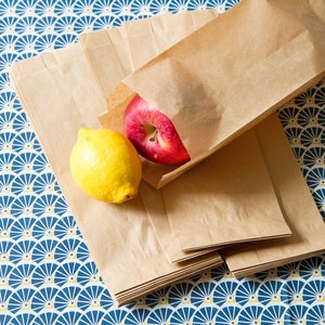 Gift paper bags (set of 10 or 20) wedding or party bags