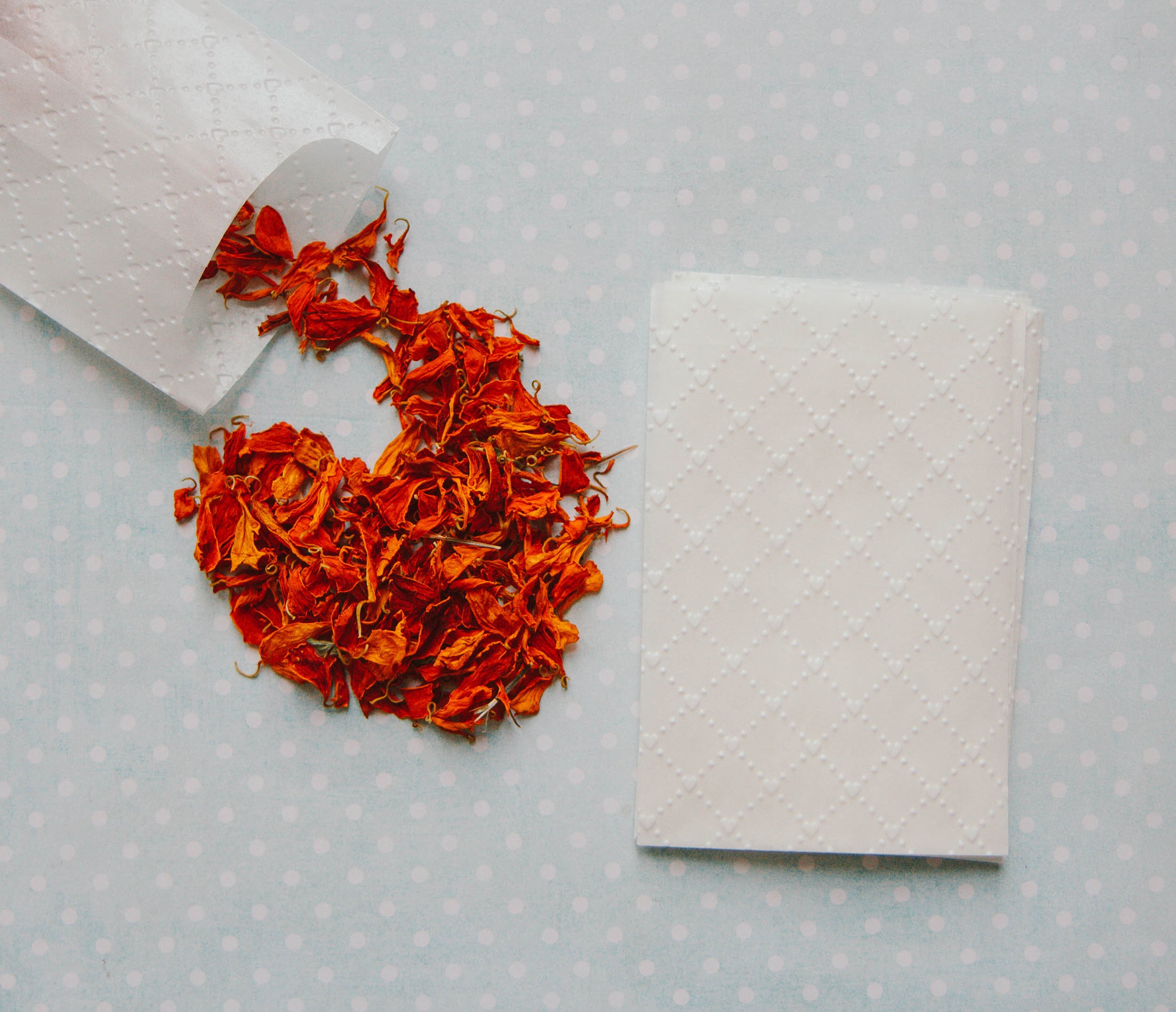 Clear Paper Bags Set of 50 Etsy