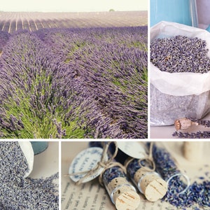 Lavanda blu essiccata extra e lavandina in grandi quantità per matrimoni, coriandoli Raccolto 2024 Lavanda biologica