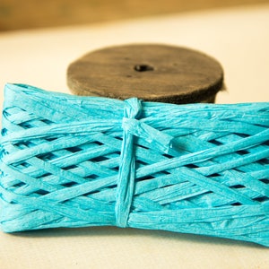 Può includere: Un rotolo di nastro di rafia di carta blu turchese, legato con un fiocco al centro.