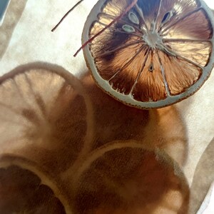 May include: Dried orange slices tied with twine and placed on a brown paper bag. The orange slices are brown and have a translucent appearance.