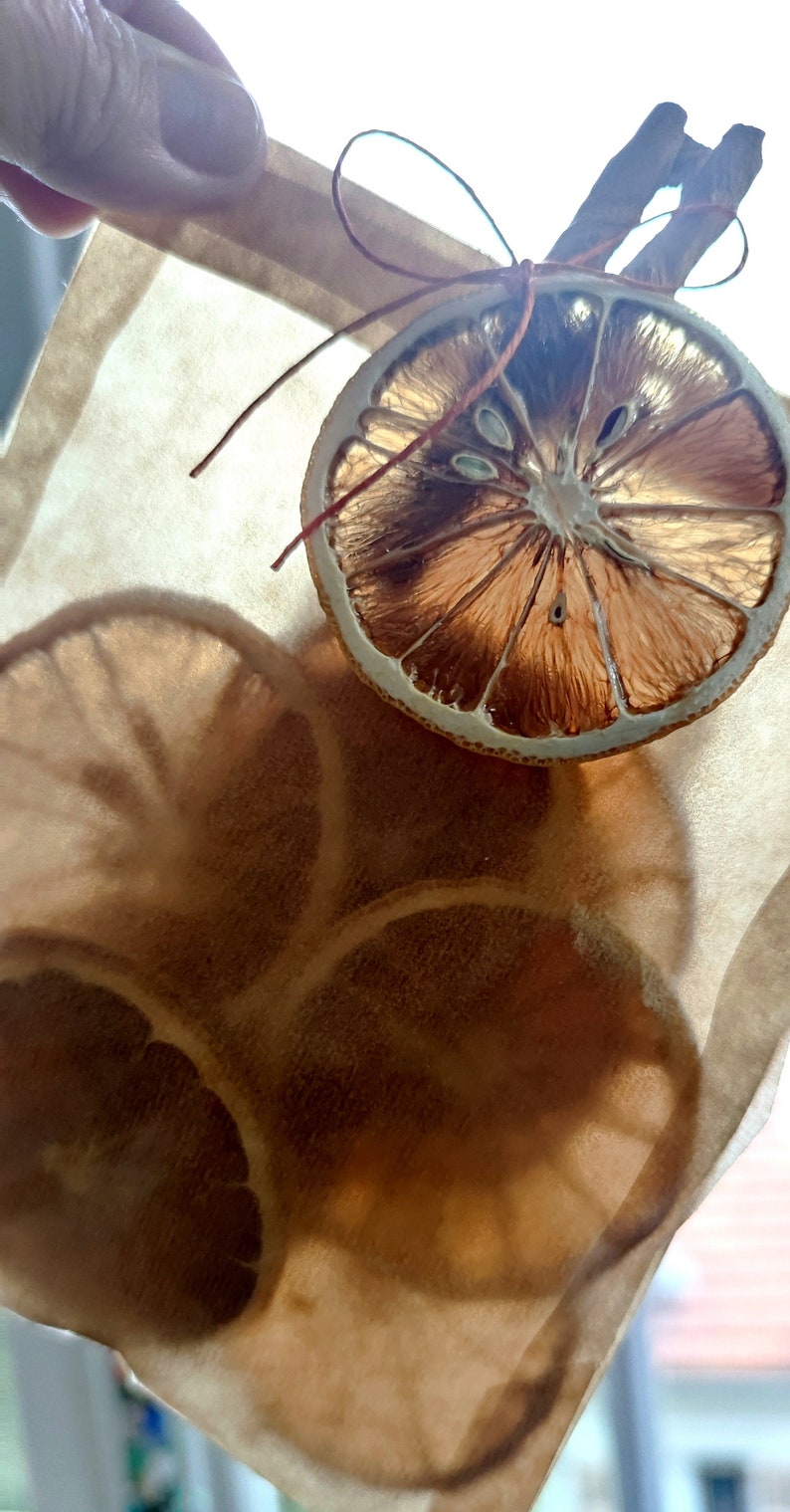 May include: Dried orange slices tied with twine and placed on a brown paper bag. The orange slices are brown and have a translucent appearance.