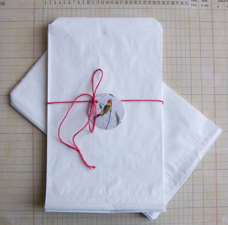 christmas Set of 25-12x19cm Safe for food Gift bags for wedding