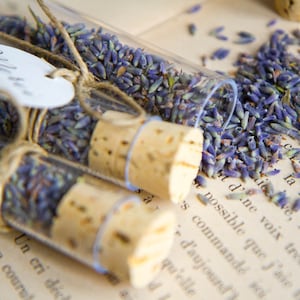 Lavender wedding test tubes, lavender wedding confetti, flower toss
