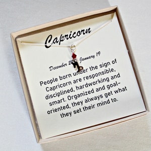 Silver Capricorn Necklace, December Birthstone, Sweet 16 For Granddaughter, January Capricorn Necklace, Zodiac Pendant, January Birthstone