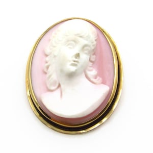 14K Yellow Gold Carved Shell Cameo Pin and Pendant - Oval Lady Portrait Profile Pink White - Weight 6.5 Grams - Reduced Price # 5275