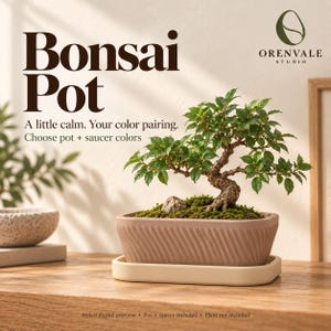 May include: A rectangular mauve bonsai pot with diagonal ribbed textures, resting on a cream-colored saucer. The text reads: Bonsai Pot, A little calm. Your color pairing. Choose pot + saucer colors, Orenvale Studio, Styled digital preview.