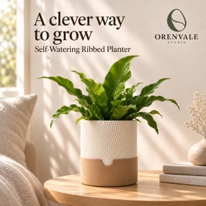 May include: A self-watering ribbed planter with a white textured upper section and a solid tan base, containing a vibrant green plant. The text reads: A clever way to grow, Self-Watering Ribbed Planter, and the Orenvale Studio logo.