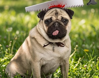 Einzigartiges Kostümaccessoire: Blutige Schere auf dem Kopf Ihres Haustiers | Gruseliges Halloween-Geschenk für Katzen oder kleine Hunde | Miniatur-Schere als Fotorequisite