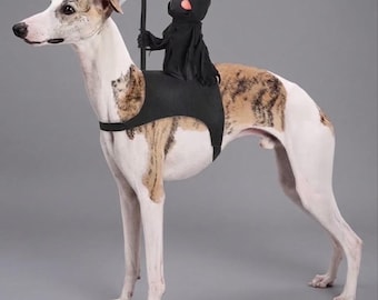 Costume di Halloween per cani da mietitore, costume spettrale per gatti con mietitore, costume divertente per animali domestici per bulldog francese e cani di piccola e media taglia, pettorina per cani