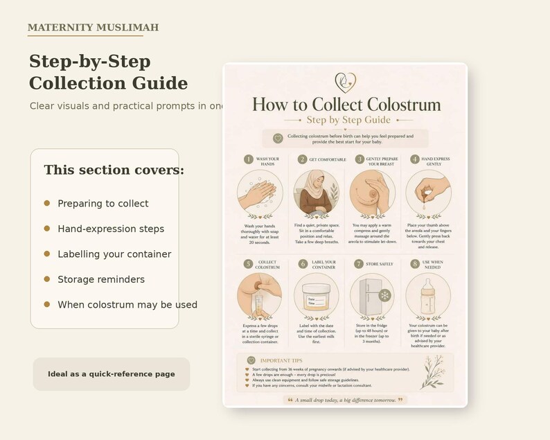 May include: An educational infographic titled How to Collect Colostrum, featuring eight numbered steps with illustrations and text. It includes sections on preparing, hand-expressing, labeling, and storing colostrum, with important tips at the bottom.