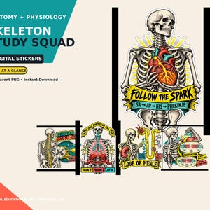 May include: A set of five digital stickers titled Skeleton Study Squad featuring anatomical illustrations of a human skeleton with a heart, spinal cord, lungs, kidneys, and muscle fibres, including text like Follow the Spark and Loop of Henle.