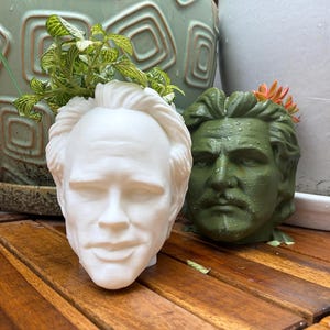 Może przedstawiać: Dwie dekoracyjne donice w kształcie głowy, jedna biała i jedna zielona, ​​każda z motywem twarzy. Biała donica zawiera małą zieloną roślinę, a zielona donica ma małego pomarańczowego sukulenta. Donice stoją na drewnianej powierzchni.