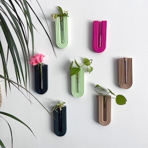 minimalist arched wall vase / propagation station wall / propagating tubes