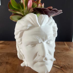 Pedro Pascal Planter