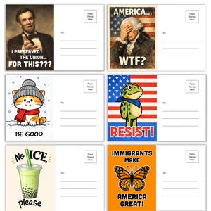 May include: A set of six postcards with various designs. One features Abraham Lincoln with the text "I PRESERVED THE UNION... FOR THIS???". Another shows George Washington with the text "AMERICA... WTF?". Other cards include a cat, a frog, a boba drink, and a butterfly.