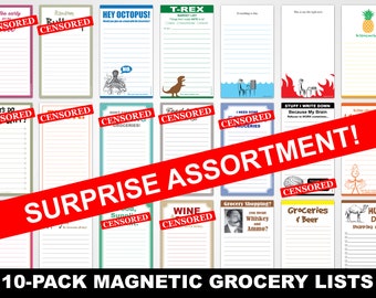 Funny 10-Pack Magnetic Grocery Lists - Surprise Assortment - Novelty Christmas Gift for Work, Office, Coworkers - Mature item