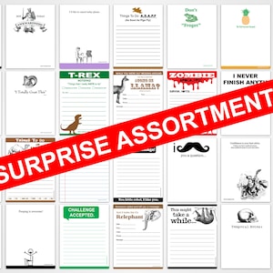 Funny Notepads, Grocery Lists, and Magnets - Surprise Assortment Pack - Novelty Office Gift for Friends and Coworkers