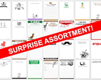 Funny Notepads, Grocery Lists, and Magnets - Surprise Assortment Pack - Novelty Office Gift for Friends and Coworkers