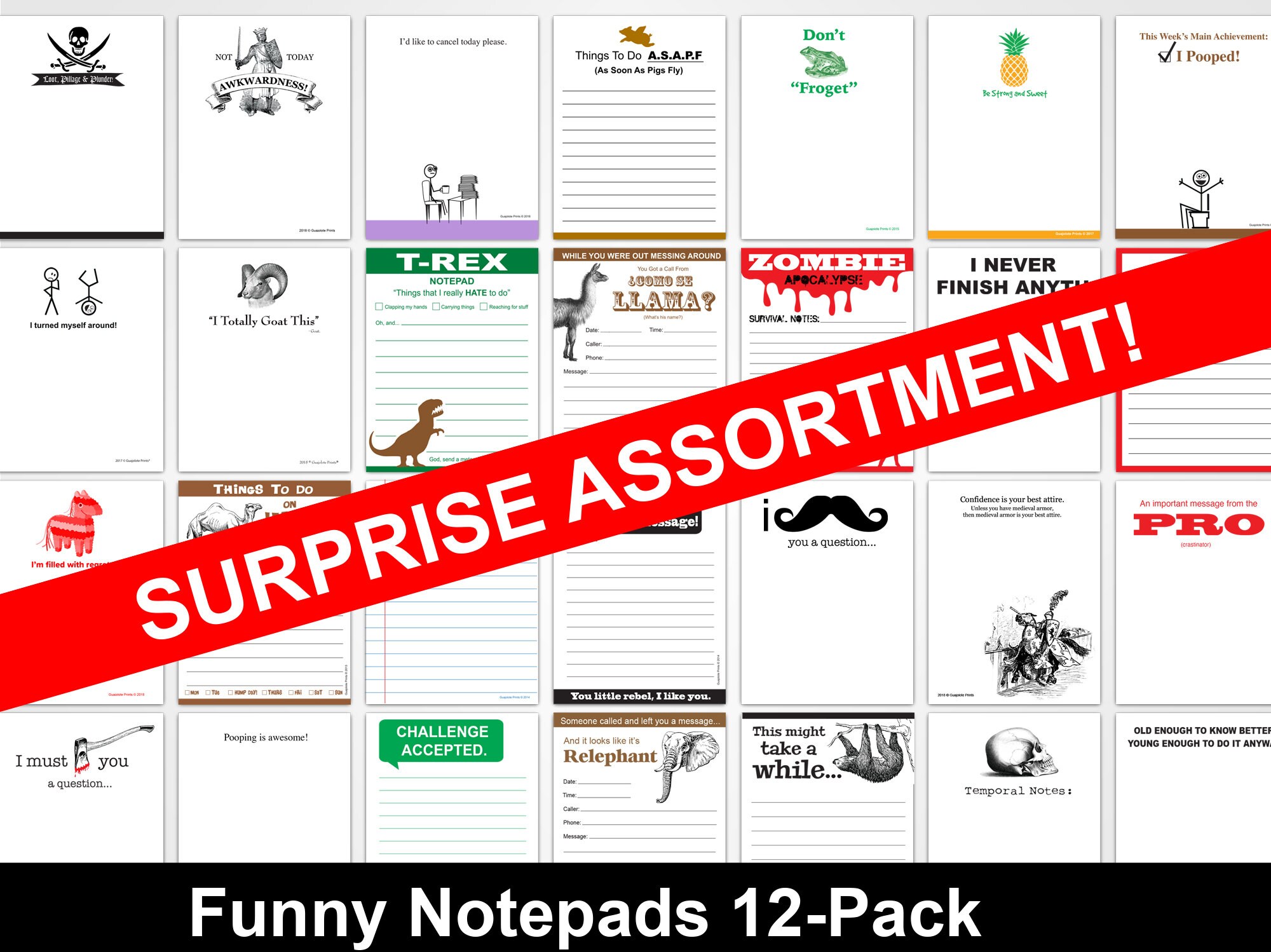 Fun Message Pads Funny Sarcastic Memo Pads: Coworker Gift - Surprise Assorted 12-pack - Etsy
