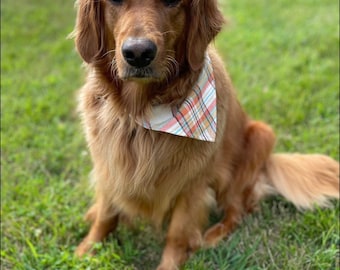 Dog Bandana, Over the Collar Bandana,  Plaid Bandanas, Fall Bandanas,  Brynnbands, Dog Bandannas