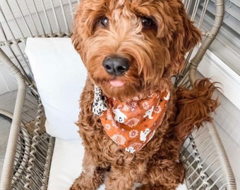 Happy Ghosts Dog Bandannas, Brynnbandannas, Dog Collars, Over the Collar Dog Bandannas, Brynnbands