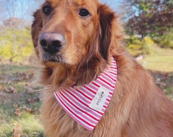Dog Bandannas 