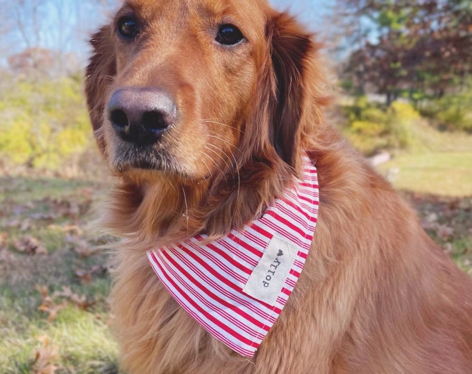 Featured listing image: ADD ON Scrunchie Tag or Dog Name Tag