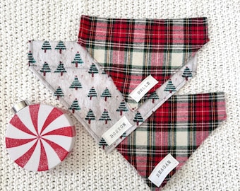 Holiday  / Christmas