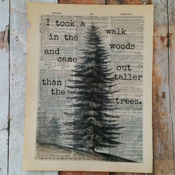 Di un paseo en el bosque y salió más alto que los árboles Diccionario arte imprimir Arbol impresión / impresión del libro / reciclado / cotizar impresión