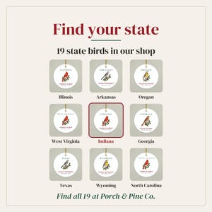 Indiana State Bird Ornament, Northern Cardinal Christmas Ornament 2026, Watercolor Bird Ornament, Indiana Gift for Bird Lover afbeelding 5