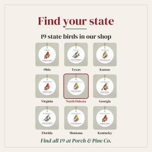 Peut inclure: Une collection de neuf ornements circulaires blancs illustrant divers oiseaux d'&Eacute;tat avec leurs noms. Le texte indique Find your state, 19 state birds in our shop, et Find all 19 at Porch & Pine Co. Chaque ornement est suspendu par un cordon dor&eacute;.