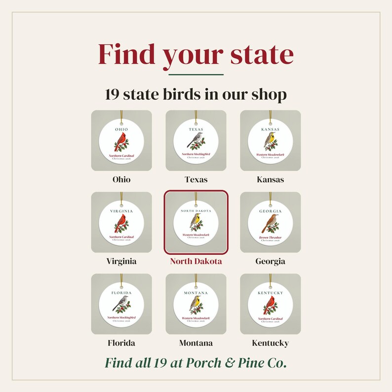 Peut inclure: Une collection de neuf ornements circulaires blancs illustrant divers oiseaux d'&Eacute;tat avec leurs noms. Le texte indique Find your state, 19 state birds in our shop, et Find all 19 at Porch & Pine Co. Chaque ornement est suspendu par un cordon dor&eacute;.