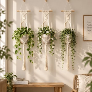 May include: Three off-white macrame plant hangers suspended from wooden dowels, each holding a potted plant with trailing green foliage. The woven cotton cord designs feature intricate knots and long tassels hanging below the cylindrical pots.