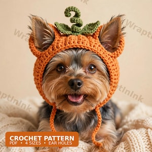 Puede incluir: Un perro pequeño con un gorro de ganchillo naranja en forma de calabaza con un tallo y hojas verdes en la parte superior. El gorro tiene orificios para las orejas y lazos. El texto dice: CROCHET PATTERN PDF 4 SIZES EAR HOLES.