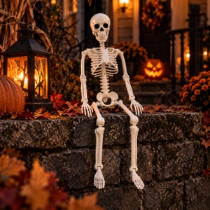 May include: A life-sized off-white plastic skeleton figure with a detailed skull, rib cage, and articulated joints. The skeleton is posed in a seated position with its legs dangling over the edge of a dark stone wall, displaying a realistic bone structure.