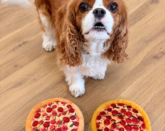 Pizza Shaped Dog Toy: Soft Plush with Multiple Textures and Squeaker