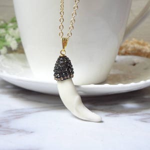 Fashion Druzy White Tooth Horn Nature Shell Gemstone Pendant Necklace 1134