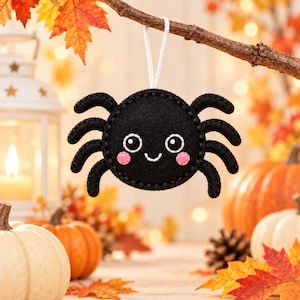 May include: A black felt spider ornament with a round body, eight legs, and embroidered white eyes and a smiling mouth. The spider features two small pink circular cheeks and is suspended by a thin white cord for hanging as a decoration.