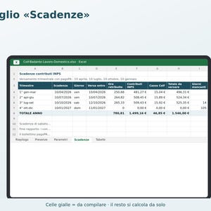 Housekeepers and Caregivers Excel in Italian | Housekeeper Payslip, 2026 INPS Contributions, Attendance Register, Vacation, Thirteenth Month, Severance Pay, Babysitters image 4