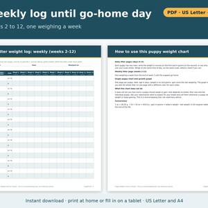 Puppy Weight Chart Printable | Puppy Weight Tracker for Litters, Daily and Weekly Log in Ounces and Grams, Dog Breeder Forms PDF image 3