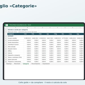 Cash and Bank Journal in Excel in Italian | Income and Expense Ledger, Cash Balance, Simple Accounting, Associations, Small Businesses image 3