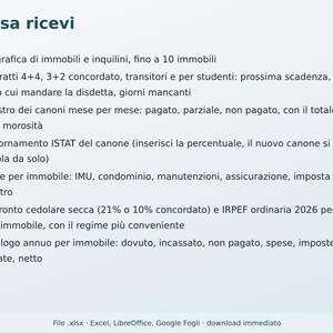 Excel Rental Management in Italian | Rent, Tenant Delinquencies, 4+4 and 3+2 Contract Expiration Dates, Flat Rate Tax, ISTAT (National Statistical Institute) image 6