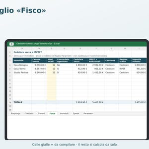 Excel Rental Management in Italian | Rent, Tenant Delinquencies, 4+4 and 3+2 Contract Expiration Dates, Flat Rate Tax, ISTAT (National Statistical Institute) image 4