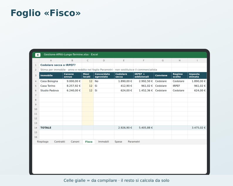 Excel Rental Management in Italian | Rent, Tenant Delinquencies, 4+4 and 3+2 Contract Expiration Dates, Flat Rate Tax, ISTAT (National Statistical Institute) image 4